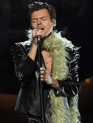 Harry Styles 在舞台上穿著皮褸和綠色毛皮披肩表演。 — 哈里·斯泰爾斯 壁紙