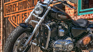 黑色Harley-Davidson電單車，帶有鍍鉻細節，停在帶有品牌標誌的磚牆附近。