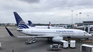 巴拿馬航空飛機在機場閘口，有地勤人員和設備。