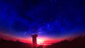 一個人站在高高的草叢中，觀看繁星點點的日落天空。