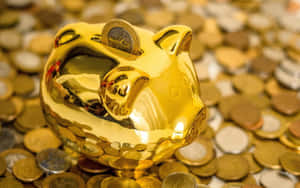 金色豬仔錢罌被硬幣包圍