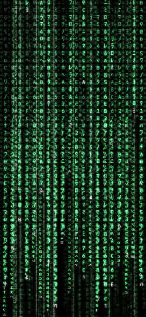 綠色數碼字符像 Matrix 風格的數碼雨般落下。