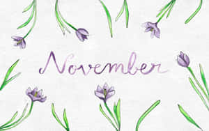 紫色番紅花和綠色莖幹以優雅草書框住「November」一詞。
