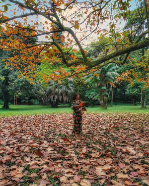 女子站在一棵橙色葉子的樹下，公園裡鋪滿了落葉。