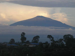 黎明時分雲端上的山峰，剪影般的樹木和房屋。
