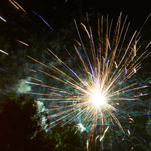 明亮的煙花在夜空中爆炸，留下金色和藍色的痕跡。