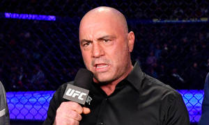 UFC評論員在八角籠內對著麥克風說話