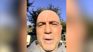 一個光頭男人在陽光明媚的日子穿著灰色連帽衫在戶外，背景有樹木。