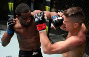 兩名男性MMA拳手在UFC比賽期間於八角籠內互相出拳。 — 運動 壁紙