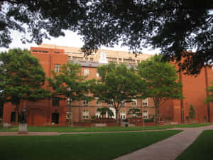 大學校園，擁有磚造建築和綠樹，在日光下。