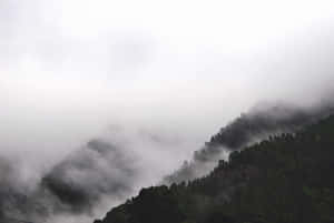 灰色天空下的霧氣山林