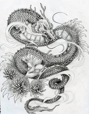 一幅詳細的黑白龍插圖，帶有菊花和流暢的線條。 — 日本龍動畫 壁紙
