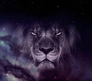在佈滿星辰的宇宙星雲中，一張獅子的臉龐，伴隨著紫色和藍綠色的雲彩。 — 銀河獅子 壁紙