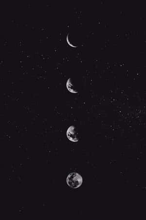 四個月相在繁星點點的夜空中垂直排列。