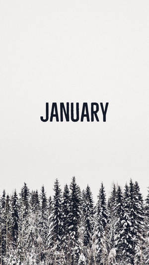白雪松林，中央有黑色文字「january」。 — 一月 壁紙