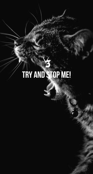 一隻兇猛的黑白貓，上面寫著 try and stop me