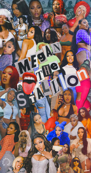 Megan The Stallion 拼貼畫，包含金錢和粗體文字。