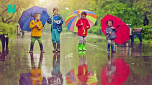 四個孩子拿著雨傘站在一個反射他們色彩繽紛衣物的雨水坑中。 — 雨天 壁紙