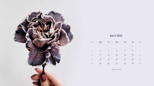手拿著一朵有紋理的紫色花，旁邊是2022年4月日曆。