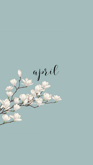 白木蘭花在樹枝上，青綠色背景上有「april」手寫字體