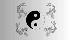 四條錦鯉以黑白線條畫環繞太極符號。 — 花城 壁紙