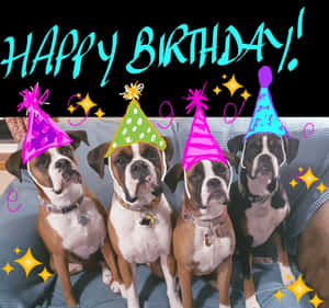 四隻戴著派對帽的拳師犬在沙發上慶祝生日，配有節日圖案。