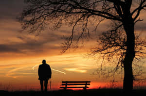 老人拄著拐杖，在夕陽下站在光禿禿的樹下的空長椅旁。