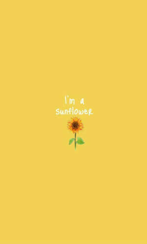 一個向日葵，背景為黃色，帶有文字「i'm a sunflower」。