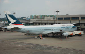 國泰航空飛機停泊在機場閘口，有地勤服務車輛。