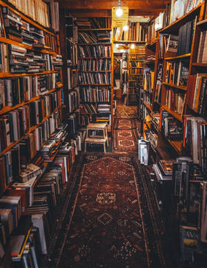 舒適的書店通道，有高大的木架和圖案地毯，在溫暖燈光下。