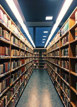 長長的圖書館通道，有高聳的木書架和螢光燈照明。