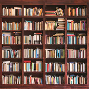 一個木書架，裝滿了各種排列的色彩繽紛的書籍。