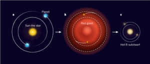 顯示帶有軌道行星的恆星階段的恆星演化圖。 — 星星 壁紙