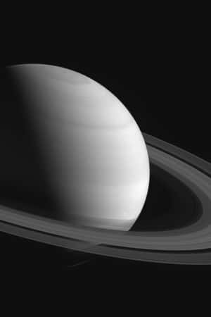 土星及其環，以灰階呈現，背景是太空的漆黑。