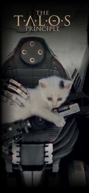一隻帶有黑色斑點的小白貓坐在《The Talos Principle》遊戲機械人的臂中。 — iPhone 16 Pro 壁紙