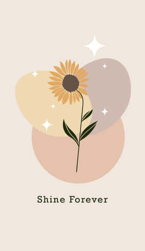 向日葵插圖，帶有粉彩圓圈和閃爍星星，文字 shine forever