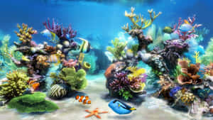 色彩繽紛的珊瑚礁，熱帶魚和海星在清澈的藍色海水中游動。