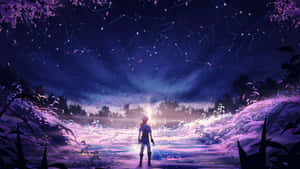 動漫戰士站在發光的田野上，星空下可見星座。 — 薩爾達 GIF 壁紙
