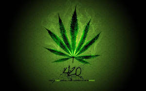 在深色背景上帶有煙霧和420文字的發光綠色大麻葉。