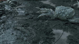 一隻蒼白的螃蟹在深色濕泥上，文字疊加顯示 created and developed by kojima productions