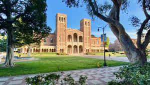 宏偉的大學建築，雙塔，周圍環繞著綠色草坪和大樹，陽光明媚。