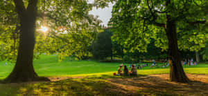 人們在陽光明媚的公園裡，在巨大的樹下放鬆，周圍是綠色的草地。