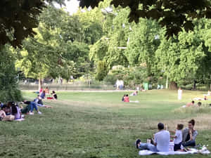 家人和朋友在綠樹成蔭的公園裡享受陽光明媚的野餐。