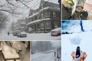 一個雪景拼貼畫，特色是一隻在雪中吠叫的狗、被雪覆蓋的房屋和汽車，以及享受冬天的人們。