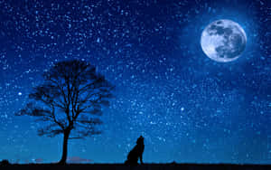 狼在星空夜空下對著月亮嚎叫，旁邊有棵光禿的樹。 — 狼 壁紙