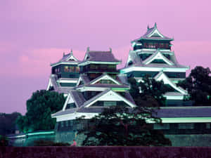 傳統日本城堡在暮色中，粉紅色天空和綠色樹木。