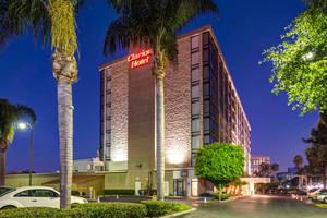 夜晚的 Clarion Hotel，有棕櫚樹和街燈。