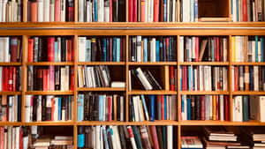 在圖書館環境中，木書架上放滿了色彩繽紛的書籍。