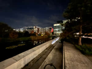 夜間城市運河小徑，有燈光建築和樹木倒影。 — 夜空 壁紙