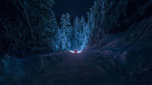 紅色汽車在雪地森林中夜間行駛，星空下
